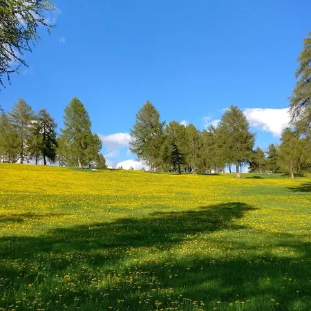 Sabine K Daire Merano